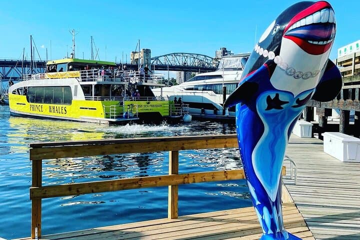 Vancouver Whale Watching Adventure: Orcas, Humpbacks & Gulf Islands Sights photo 5
