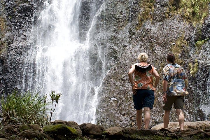 Private Tahiti Island Tour — Waterfalls, Black Sand Beaches & Ancient Temples photo 4