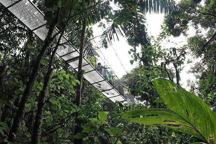 Private Full-Day Arenal Volcano & Baldi Hot Springs Tour (From Guanacaste) photo 2