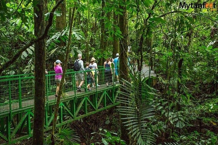 Full-Day Arenal Volcano & Baldi Hot Springs Private Tour from La Fortuna photo 4