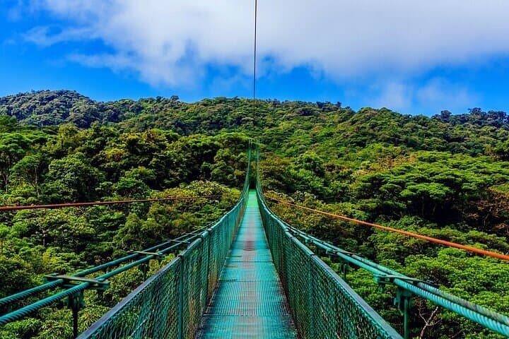 Full-Day Arenal Volcano & Baldi Hot Springs Private Tour from La Fortuna photo 3