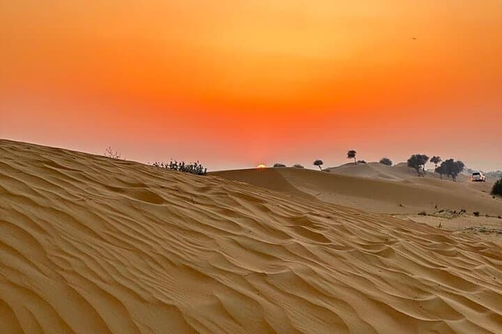 Evening Desert Safari to Bab Al Shams Camp: Dune Bashing, Camel Ride & Buffet Dinner photo 3