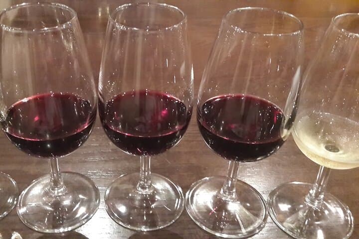Private Wine Tasting Tour in Constantia: A Day Among Cape Vines photo 3