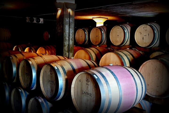 Private Wine Tasting Tour in Constantia: A Day Among Cape Vines photo 5