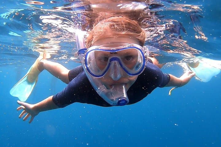 Snorkeling Ieranto Bay: Punta Campanella Marine Protected Area from Sorrento photo 5