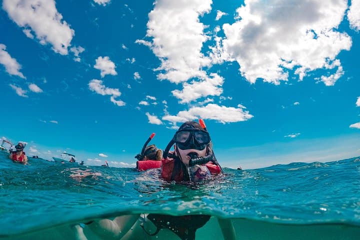 Snorkeling Ieranto Bay: Punta Campanella Marine Protected Area from Sorrento photo 3