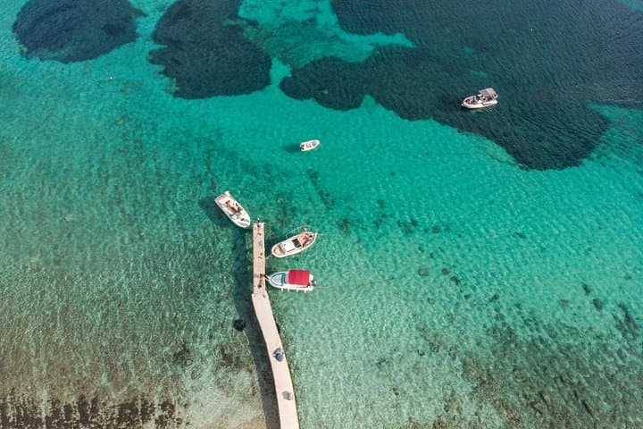 Blue Lagoon and Šolta Private Speedboat Tour from Split — Swim, Snorkel & Spot Dolphins photo 4