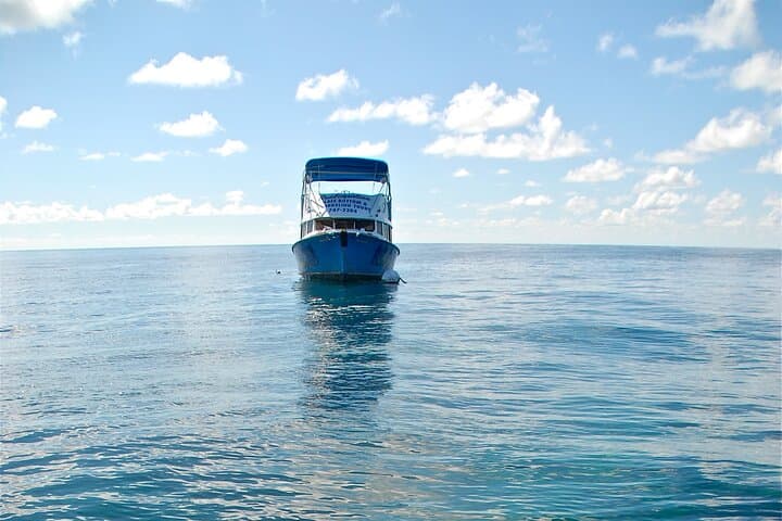 Bermuda Glass Bottom Boat Cruise: Explore Coral Reefs and the HMS Vixen photo 5
