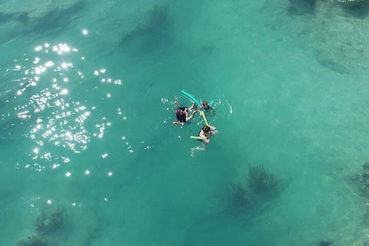 Bermuda Glass-Bottom Boat & Snorkeling Combo — Vixen Shipwreck and Sea Gardens photo 4