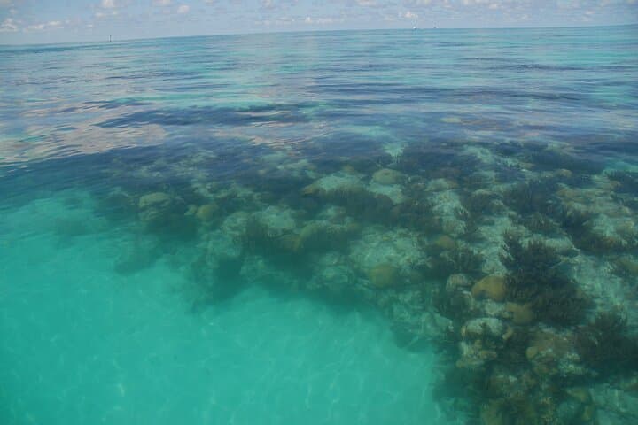 Bermuda Glass-Bottom Boat & Snorkeling Combo — Vixen Shipwreck and Sea Gardens photo 6