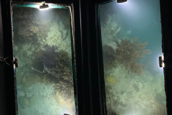 Bermuda Triangle Twilight Cruise: Glass-Bottom Night Sail from Hamilton photo 6