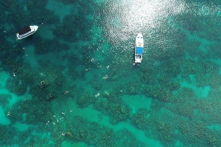Shipwreck Snorkel in Bermuda: Explore the Constellation & Montana Wrecks photo 4