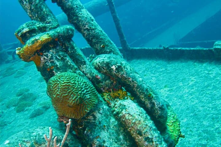 Shipwreck Snorkel in Bermuda: Explore the Constellation & Montana Wrecks photo 6
