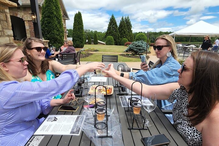 VIP North Georgia Wineries Day Tour from Atlanta