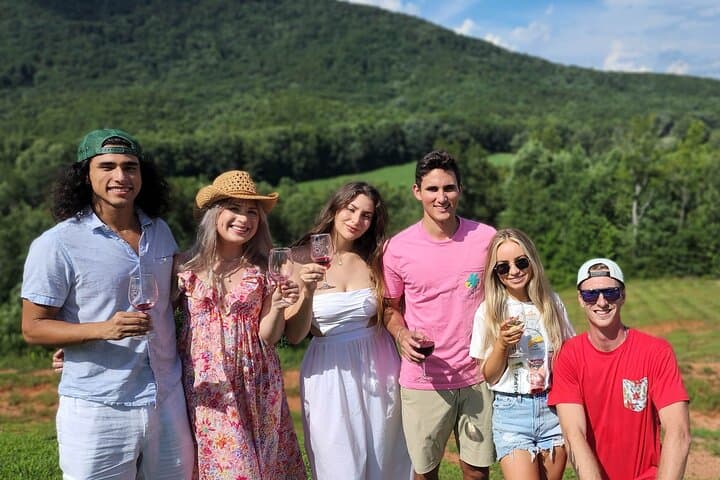 VIP North Georgia Wineries Day Tour from Atlanta photo 4