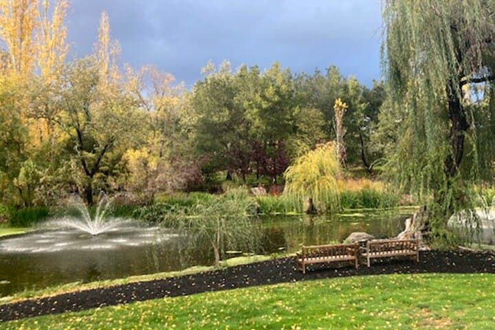 Private SUV Wine Tour in Napa or Sonoma Valley — 6-Hour Tasting Route photo 4