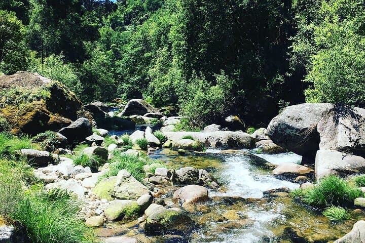 Full-Day 4x4 Tour of Peneda-Gerês with Optional SUP on Caniçada photo 2