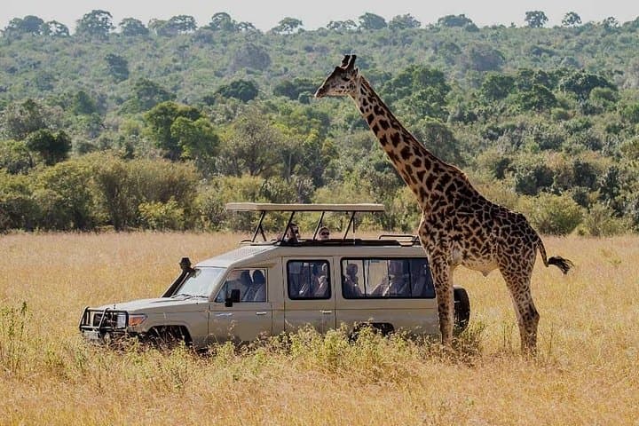 5-Day Budget Camping Safari: Tarangire, Serengeti & Ngorongoro from Arusha photo 1