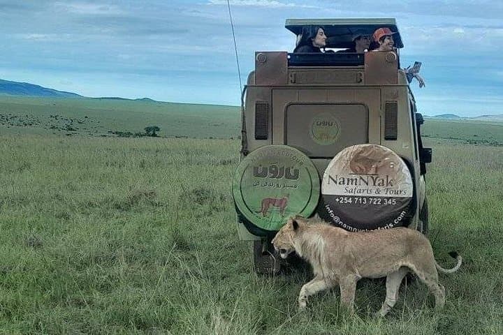 3-Day Masai Mara Safari: Big Five, Maasai Culture & Game Drives photo 3