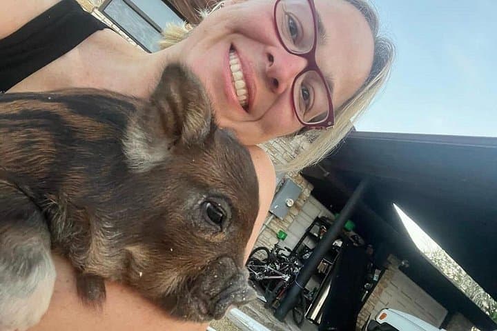 Meet the KuneKune Pigs: Hands-On Farm Tour Near Austin photo 4