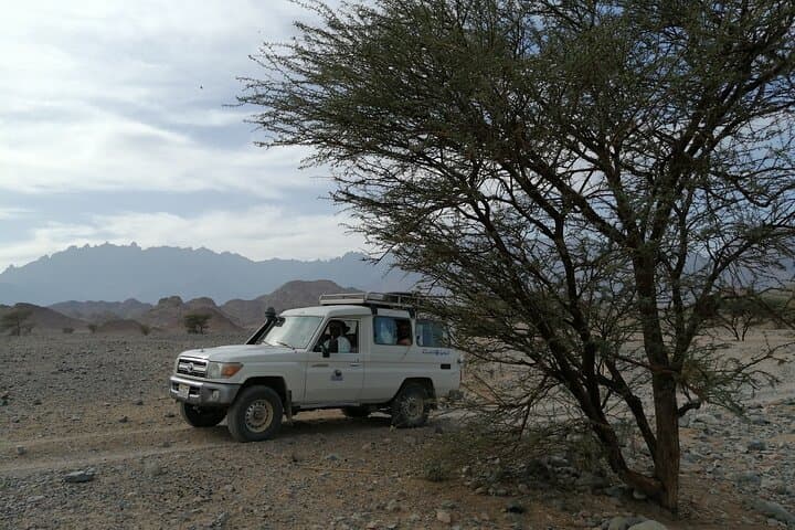 Hurghada Mini Super Safari: Quad, Spider Bike & Bedouin Camp Experience photo 4
