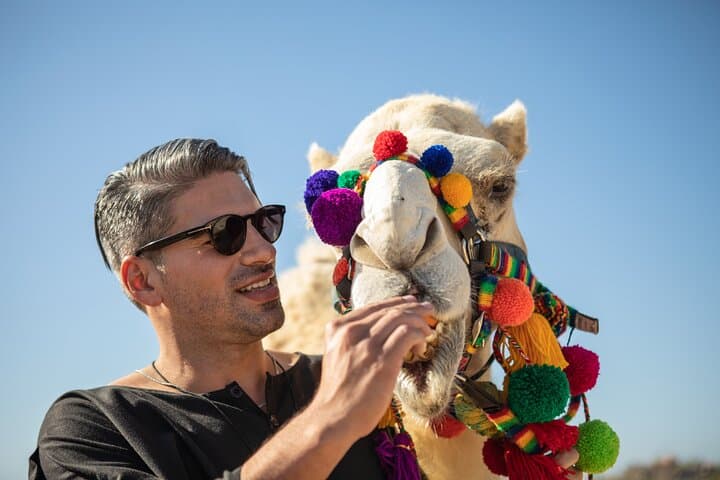 Half-Day Camel Safari and Tequila Tasting in Cabo San Lucas photo 5
