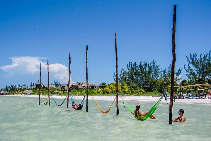 Holbox Island Full-Day from Playa del Carmen: Boat Tour, Beaches & Wildlife photo 2
