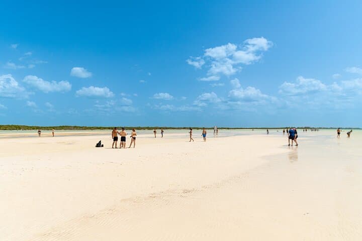 Holbox Island Full-Day from Playa del Carmen: Boat Tour, Beaches & Wildlife