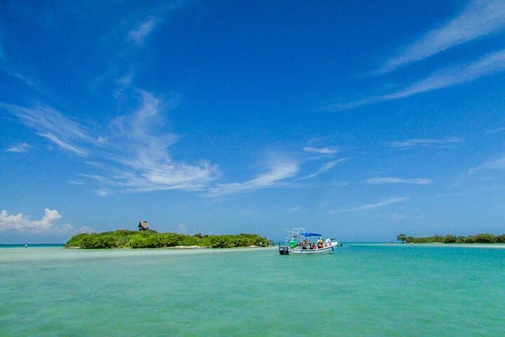 Holbox Island Full-Day from Playa del Carmen: Boat Tour, Beaches & Wildlife photo 5