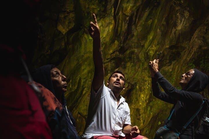 Half-Day Terceira Lava Caves and Biscoitos Natural Pools Tour