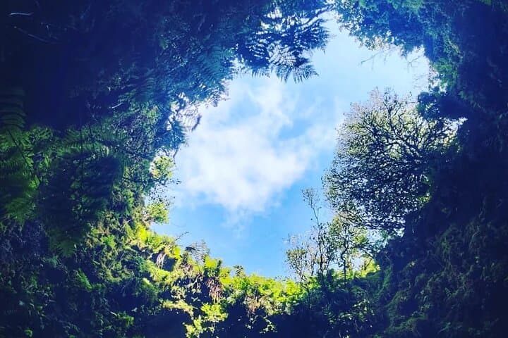 Half-Day Terceira Lava Caves and Biscoitos Natural Pools Tour photo 3