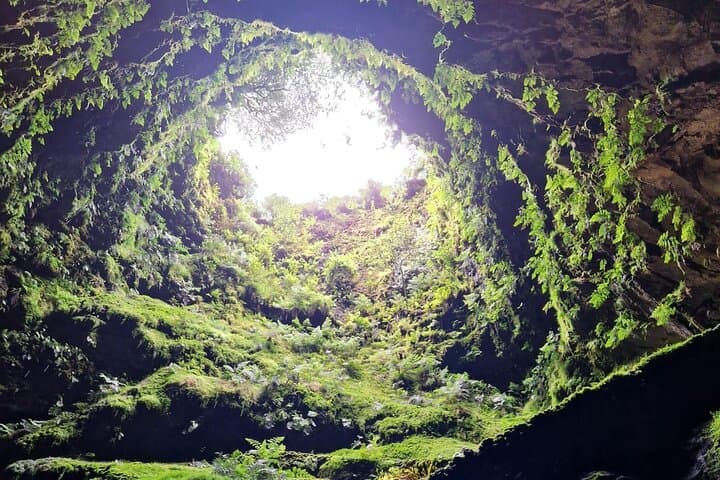 Half-Day Terceira Lava Caves and Biscoitos Natural Pools Tour photo 5