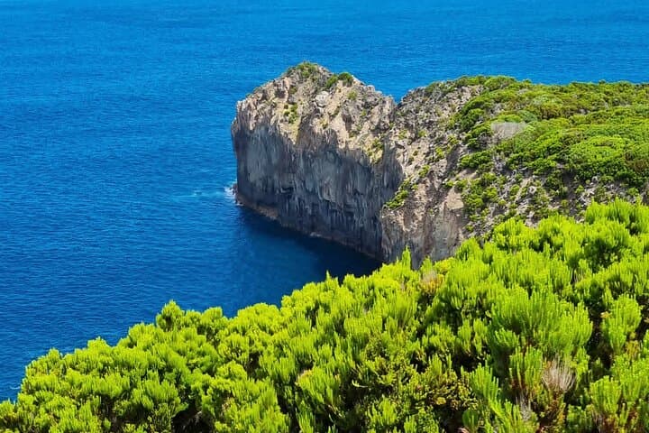 North Coast Hike on Terceira Island: 3-Hour Volcanic Cliff Walk photo 3