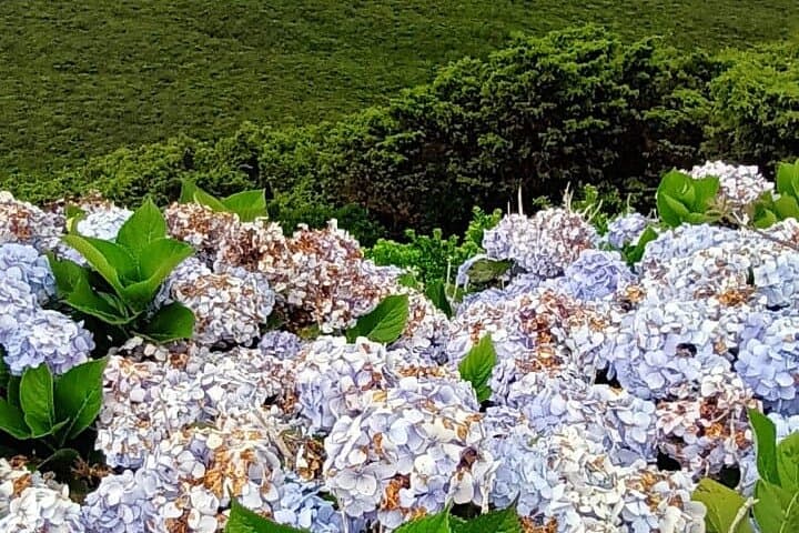 Mistérios Negros: 3-Hour Hike Into Terceira’s Interior photo 5