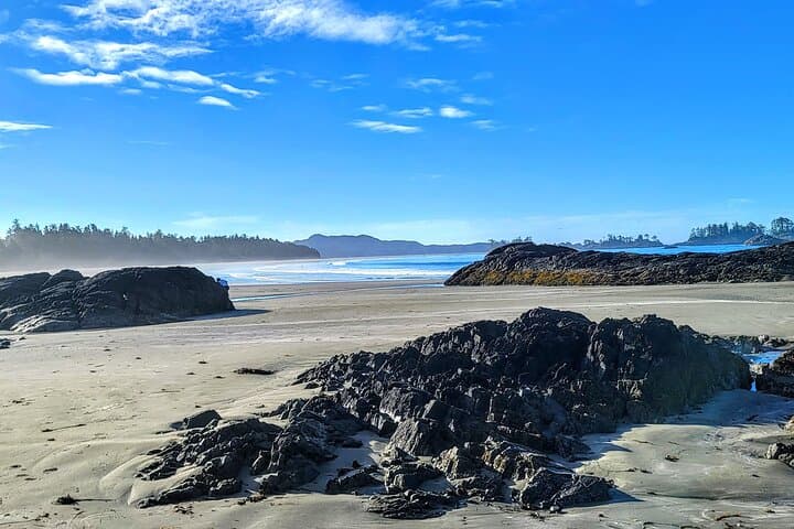 Private Vancouver to Tofino 2-Day Coastal Adventure photo 6