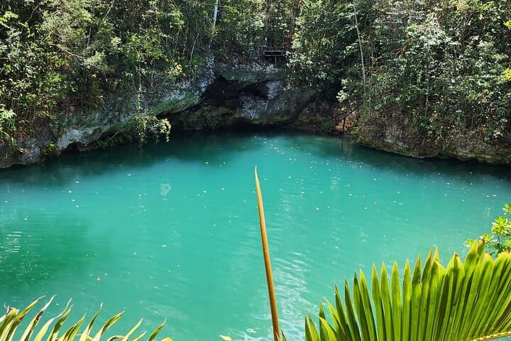 Puerto Morelos Reef & 3 Cenotes Tour — Snorkel the Mesoamerican Reef, Swim Freshwater Sinkholes, and Taste Local Tacos photo 6