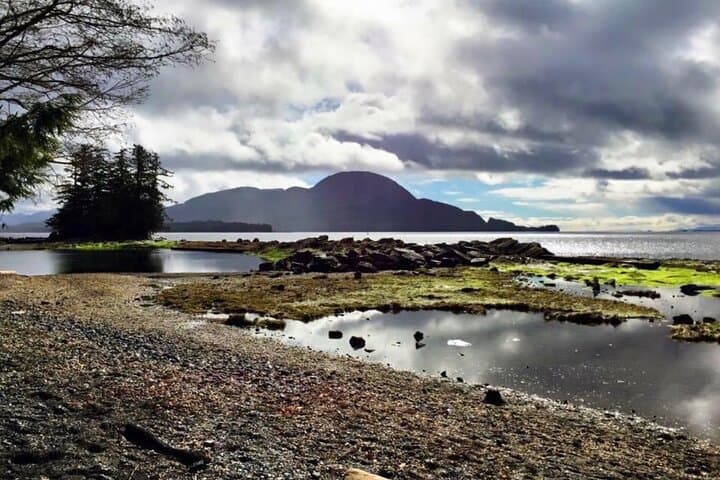 Exploring Ketchikan: Private Totem Parks and Alaskan Wildlife Highlights photo 5