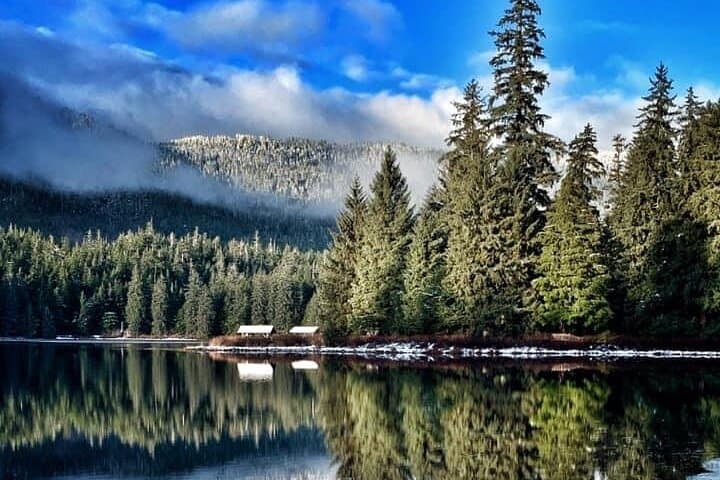 Exploring Ketchikan: Private Totem Parks and Alaskan Wildlife Highlights photo 6