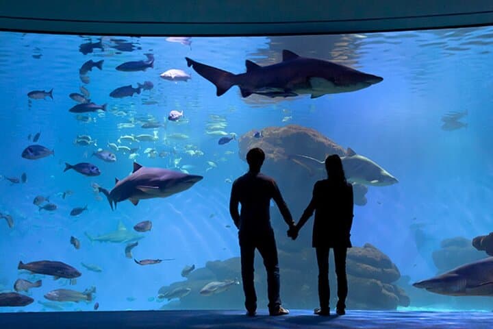 Skip-the-Line Ticket to Palma Aquarium — Plan Your 3-Hour Marine Adventure in Mallorca photo 2