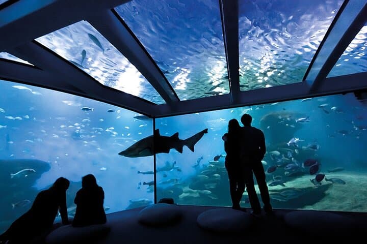 Skip-the-Line Ticket to Palma Aquarium — Plan Your 3-Hour Marine Adventure in Mallorca photo 3
