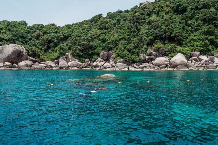 Koh Tao VIP Snorkelling Tour from Koh Samui — Small-Group Reef Experience photo 2
