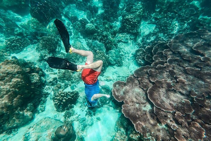 Koh Tao VIP Snorkelling Tour from Koh Samui — Small-Group Reef Experience photo 3
