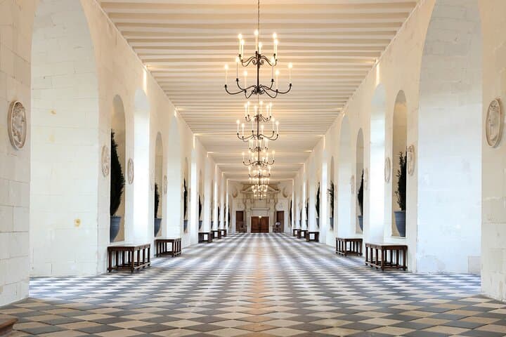 Private Half-Day Trip to Chateau de Chenonceau from Tours — Loire Valley Castle Visit photo 5