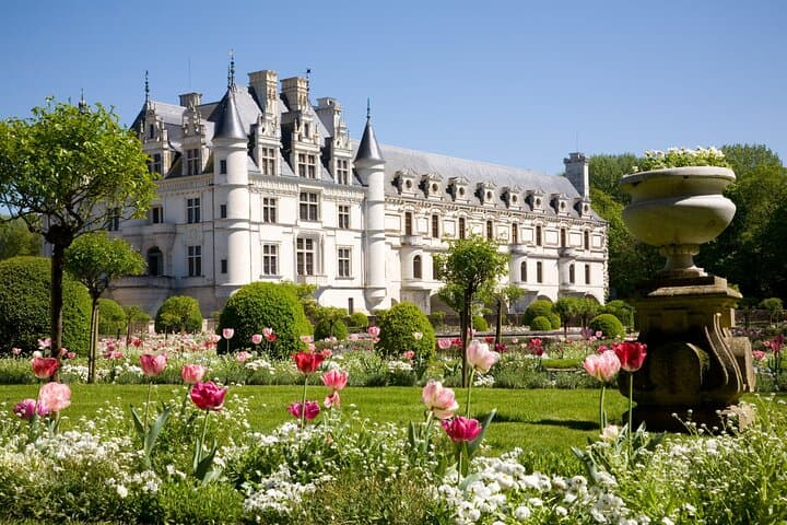 Private Half-Day Trip to Chateau de Chenonceau from Tours — Loire Valley Castle Visit photo 3