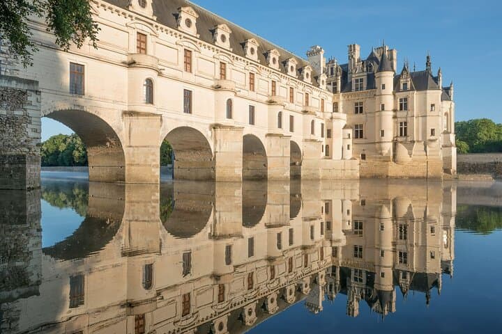 Private Half-Day Trip to Chateau de Chenonceau from Tours — Loire Valley Castle Visit photo 4