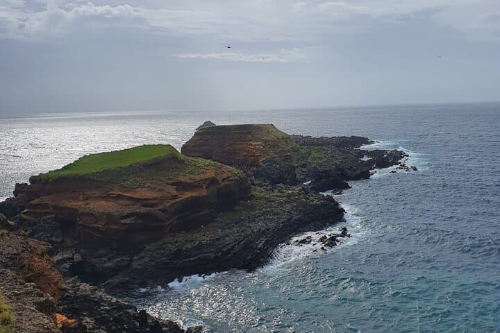 North Coast Hike on Terceira Island: 3-Hour Volcanic Cliff Walk photo 6