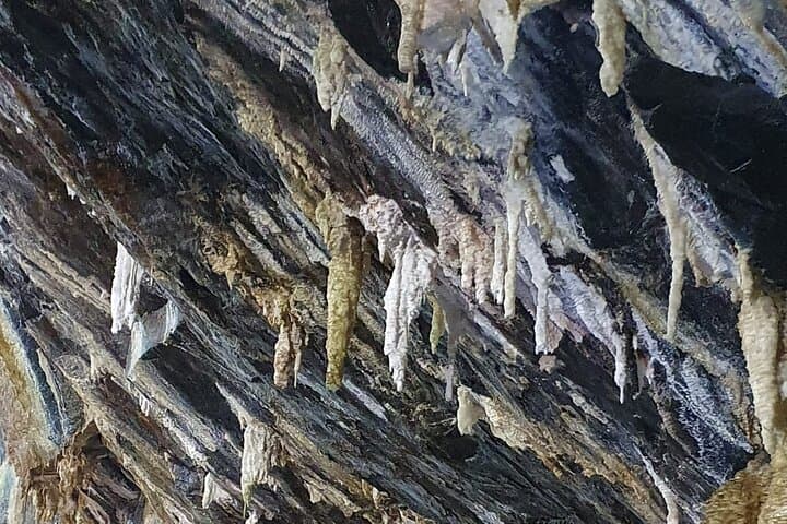 Half-Day Terceira Lava Caves and Biscoitos Natural Pools Tour photo 6