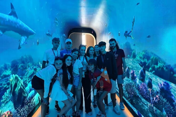 Inside Dubai Aquarium & Underwater Zoo: A Practical Visitor’s Guide