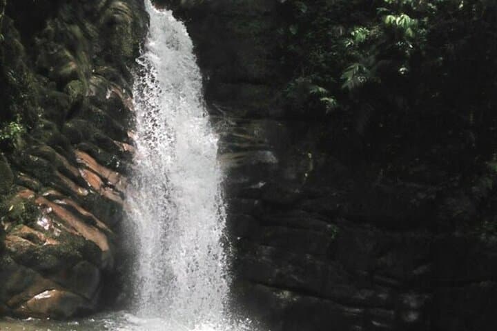 Santa Rita Waterfall Hike and Salento Walking Tour — Coffee Region Day Hike photo 3