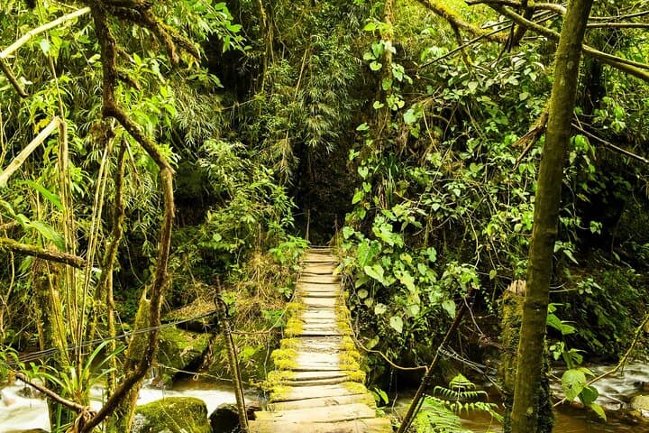 Santa Rita Waterfall Hike and Salento Walking Tour — Coffee Region Day Trip photo 3